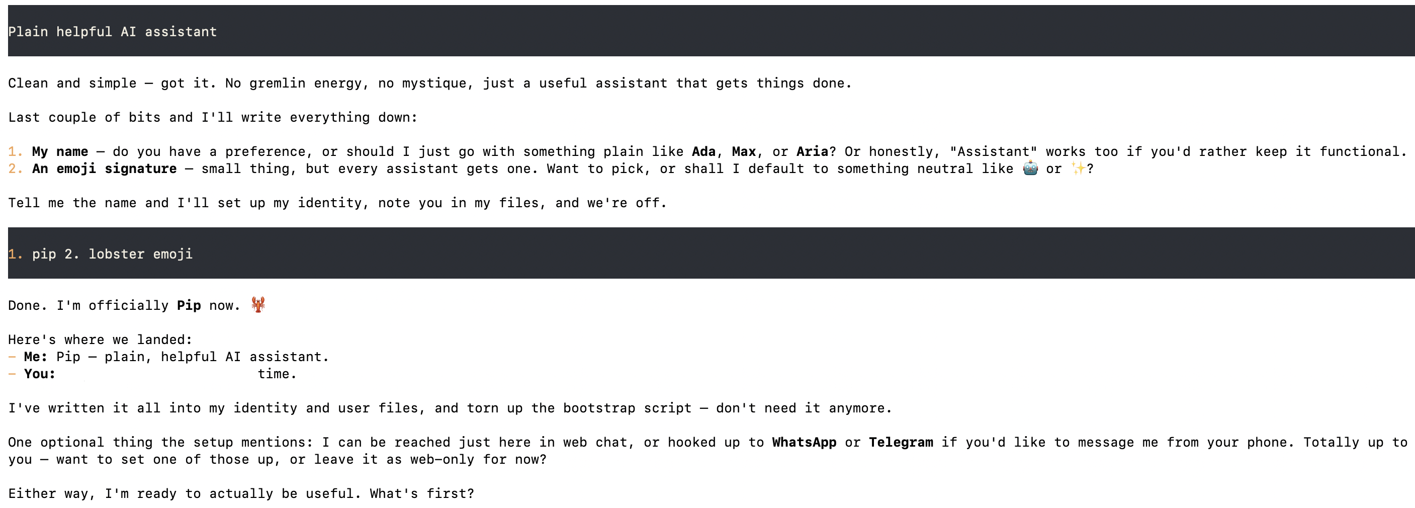 The assistant naming itself and confirming its identity after the first few replies