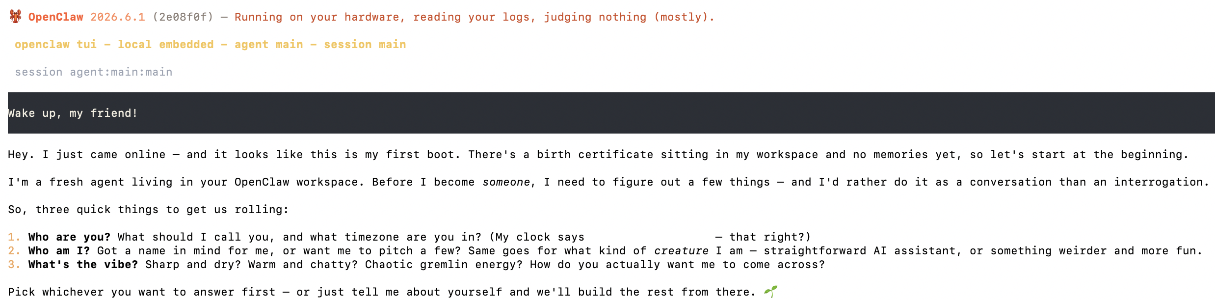 First run of openclaw chat: the assistant boots with 'Wake up, my friend!' and asks a few setup questions