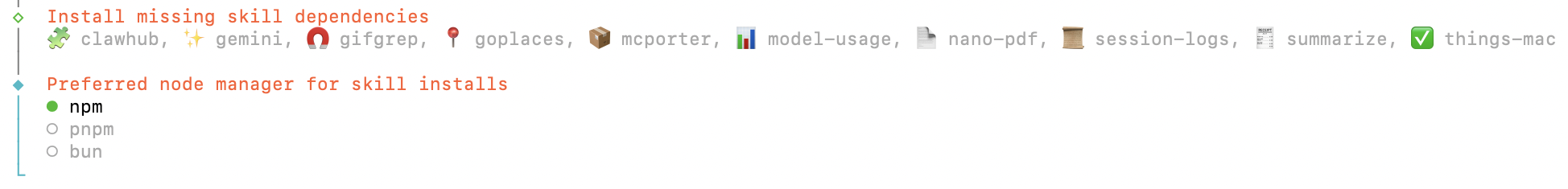 The wizard installing starter skills and choosing a node package manager