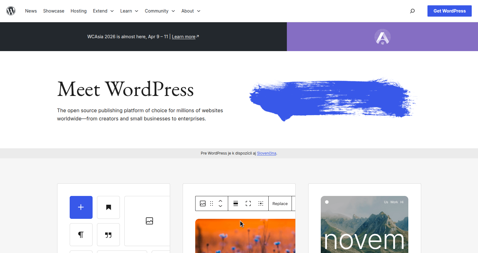 WordPress website