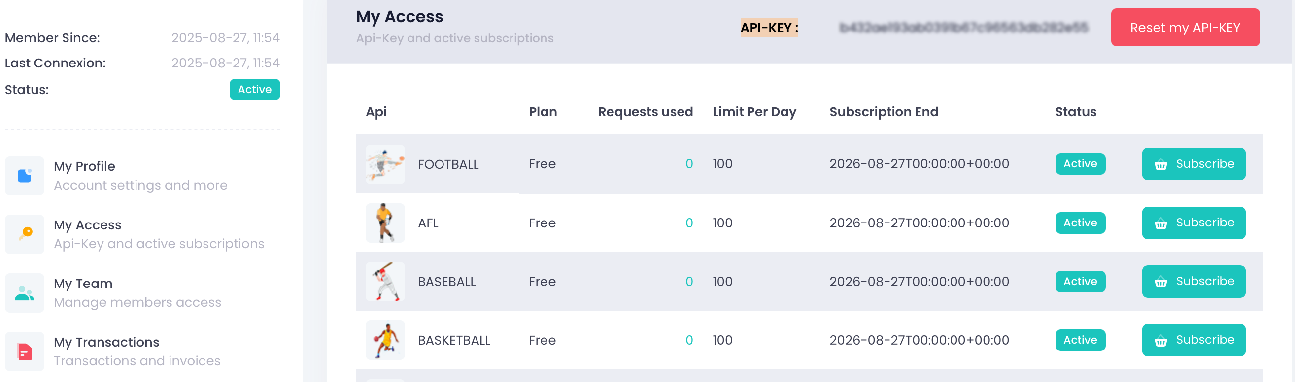 API-Sports API key retrieval